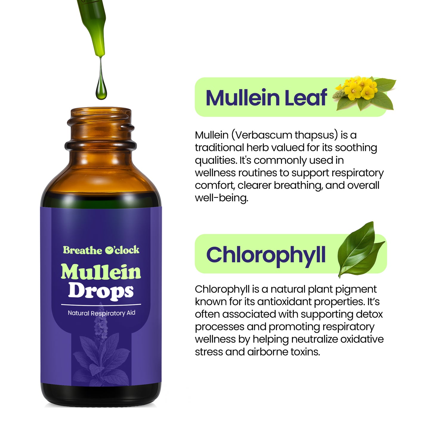Lung Repair Mullein Tincture Drops